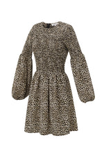 Leopard Mini Dress